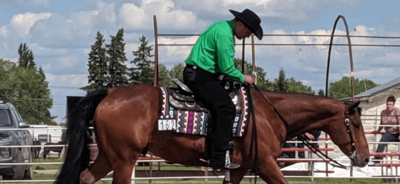 horse and rider