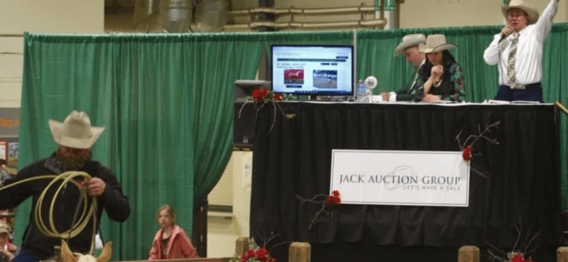 horse auction demonstration