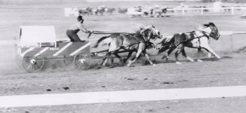 horse race
